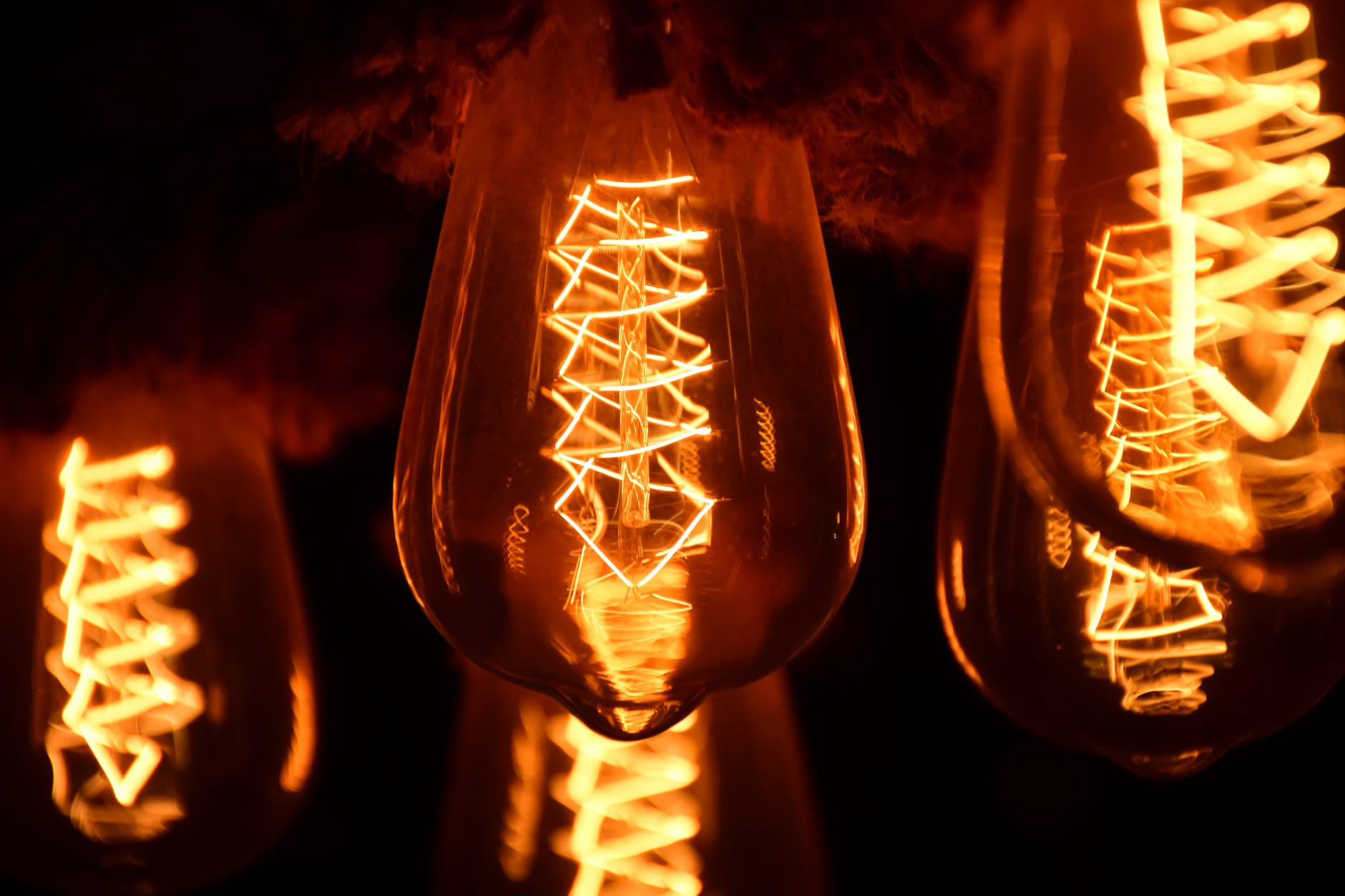 shallow focus photography of light bulbs